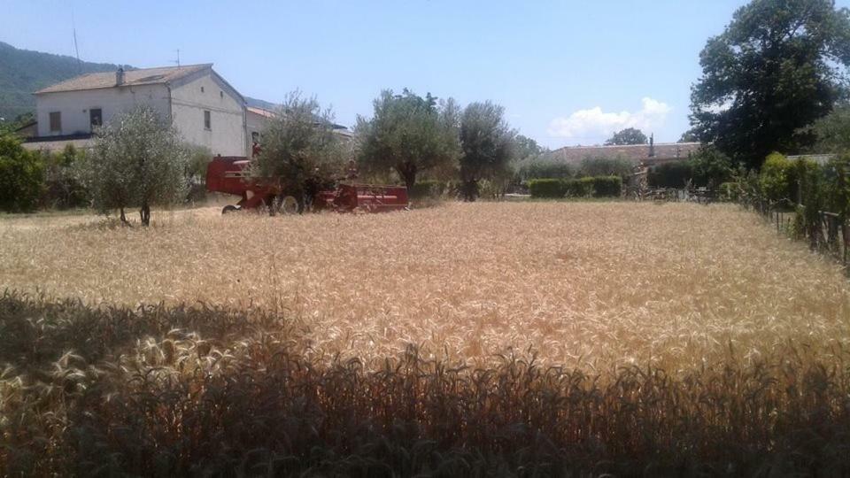 파둘라 Agriturismo Tre Santi 빌라 외부 사진